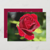 レシピカードチョコレートチップピーナッツバタークッキー ポストカード (正面/裏面)