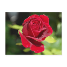 レシピカードチョコレートチップピーナッツバタークッキー