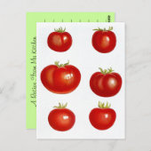 レシピカード葉書デザインから共有Favレシピ ポストカード (正面/裏面)