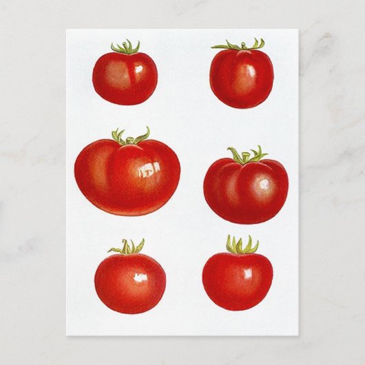 レシピカード葉書デザインと共有FAVレシピ ポストカード (正面)