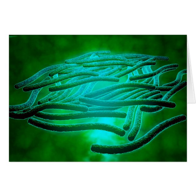 レジオネラ肺気腫の顕微鏡的見解1 (正面横)