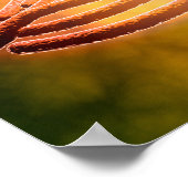 レジオネラ肺気腫の顕微鏡的見解2 ポスター (角)