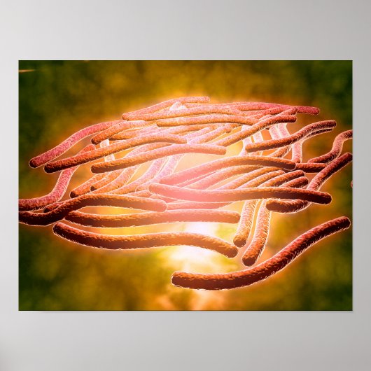 レジオネラ肺気腫の顕微鏡的見解2 ポスター (正面)