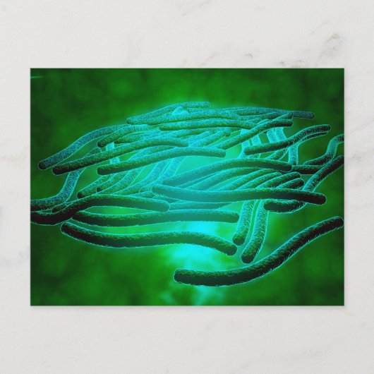 レジオネラ・ニューモフィラの顕微鏡写真 1 ポストカード (正面)