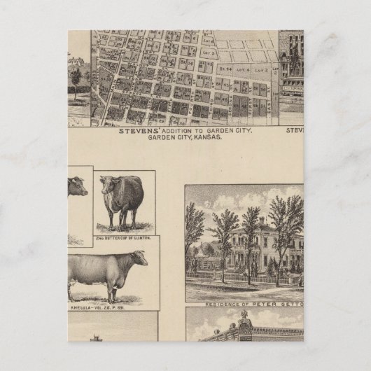 レジデンシズインカンザス ポストカード (正面)