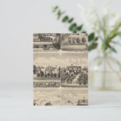 レジデンシズミネソタ2 ポストカード (スタンド正面)