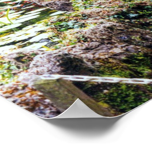 レジャー池 ポスター (角)