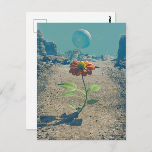 レジリエンスはがき ポストカード (正面/裏面)