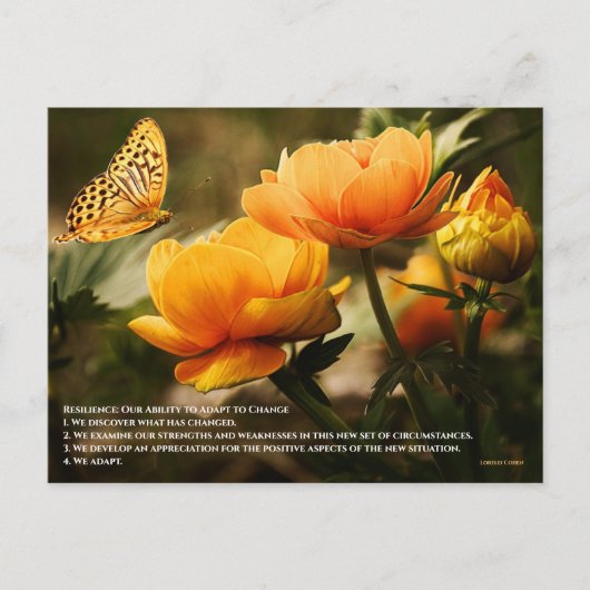 レジリエンス:変化に適応する能力 ポストカード (正面)