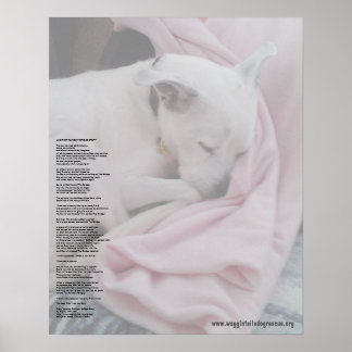 レスキエルのレインボーブリッジ（編集） ポスター