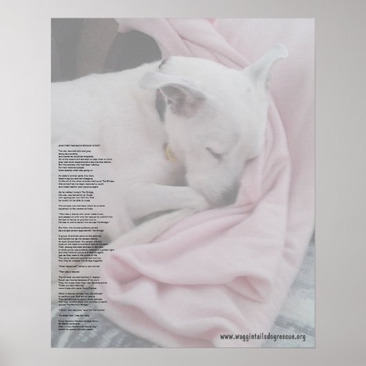 レスキエルのレインボーブリッジ（編集） ポスター (正面)