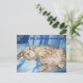 レスキューキャットポストカードを採用 ポストカード (スタンド正面)