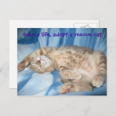 レスキューキャットポストカードを採用 ポストカード (正面/裏面)