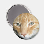 レスキューキャットマグネット マグネット (正面/裏面)