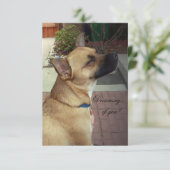 レスキュードッグ 3.5" x 5" フラット サンクス カード (スタンド正面)