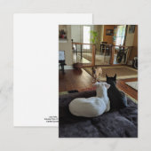 レスキュードッグ 3.5" x 5" フラット サンクス カード (正面/裏面)