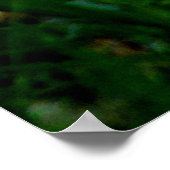 レスキュー犬のポスター/プードルを採用 ポスター (角)