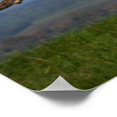 レスキュー犬グレイハウンドSighthound Brinded Lurcher ポスター (角)