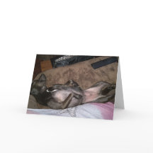 レスキュー犬折りグリーティングカード