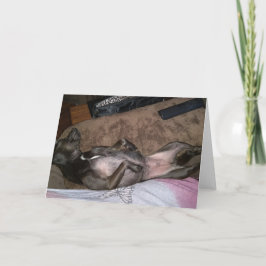 レスキュー犬折りグリーティングカード カード