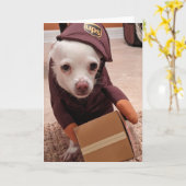 レスキュー犬標準、5" x 7"折り畳みグリーティングカード カード (黄色い花)