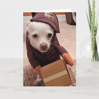 レスキュー犬標準、5" x 7"折り畳みグリーティングカード カード