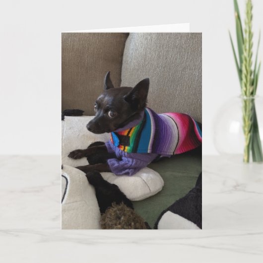 レスキュー犬標準、5" x 7"折り畳みグリーティングカード カード (正面)