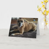 レスキュー犬標準、5" x 7"折り畳みグリーティングカード カード (黄色い花)