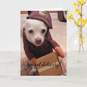 レスキュー犬標準、5" x 7"折り畳みグリーティングカード カード (黄色い花)