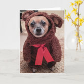 レスキュー犬標準、5" x 7"折り畳みグリーティングカード カード (黄色い花)