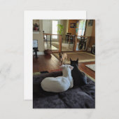 レスキュー犬3.5インチx 5インチフラットサンキューカード サンキューカード (正面/裏面)