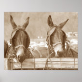 レスチン簡単 ポスター (正面)