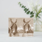 レスチン簡単 ポストカード (スタンド正面)