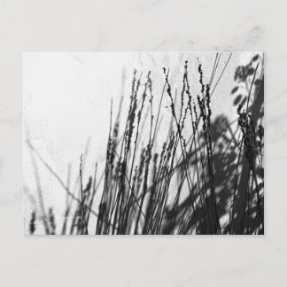 レスティオ/グラスブラックとシルエット ポストカード