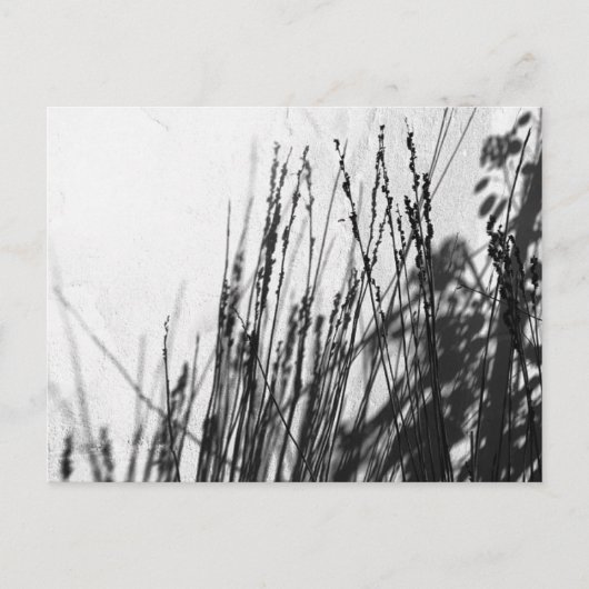 レスティオ/グラスブラックとシルエット ポストカード (正面)