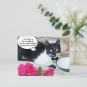 レストランハッピーバースデーの穏やかな猫 ポストカード (スタンド正面)