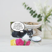 レストランハッピーバースデーの穏やかな猫 ポストカード (スタンド正面)