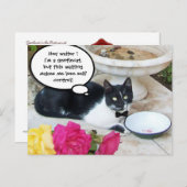 レストランハッピーバースデーの穏やかな猫 ポストカード (正面/裏面)