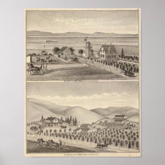 レスドネバスレジデンシズ ポスター (正面)