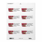 レスリングテイクダウン ラベル (フルシート)