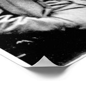 レスリー・スティーブン， 1900 ポスター (角)