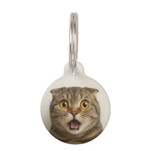 レズビアンが何を食べるのって面白いわね ペット　ネームタグ