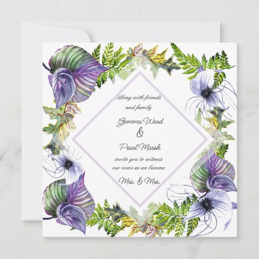 レズビアンパープルクレマチス葉と (正面)