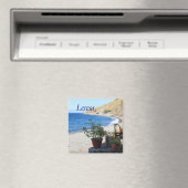 レズボス マグネット (インサイチュ (食洗機))