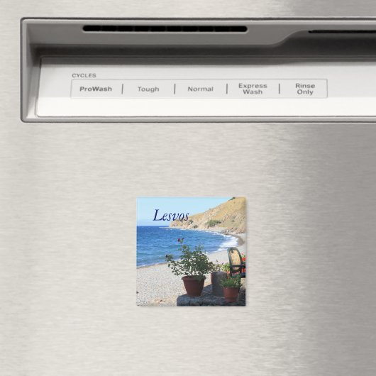 レズボス マグネット (インサイチュ (食洗機))