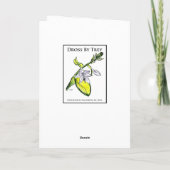 レズリーのダブルシークレットポインセチアIV シーズンカード (裏面)