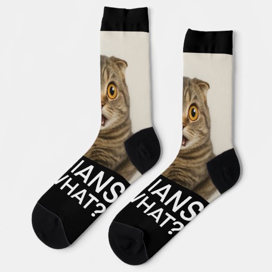 レズ食べビア人おもしろい何 ソックス (左)