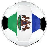 レソトの象徴 サッカーボール (回転)