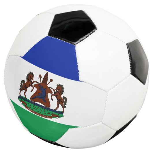 レソトの象徴 サッカーボール (3/4)