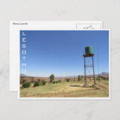 レソト水槽 ポストカード (正面/裏面)